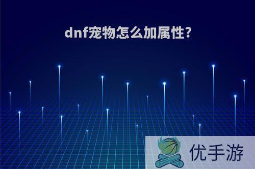 dnf宠物怎么加属性?