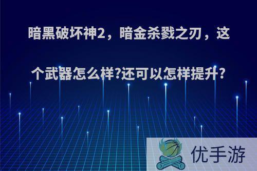 暗黑破坏神2，暗金杀戮之刃，这个武器怎么样?还可以怎样提升?