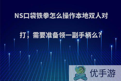 NS口袋铁拳怎么操作本地双人对打，需要准备领一副手柄么?