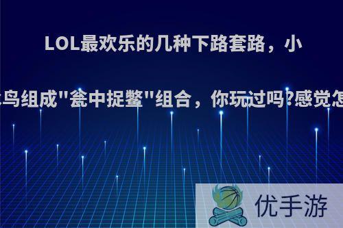 LOL最欢乐的几种下路套路，小法和冰鸟组成