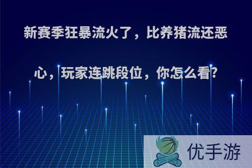 新赛季狂暴流火了，比养猪流还恶心，玩家连跳段位，你怎么看?