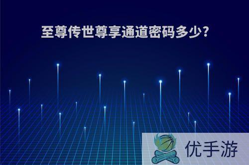至尊传世尊享通道密码多少?