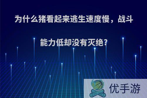 为什么猪看起来逃生速度慢，战斗能力低却没有灭绝?