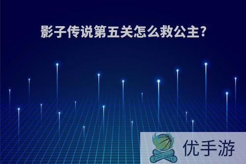 影子传说第五关怎么救公主?