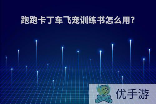 跑跑卡丁车飞宠训练书怎么用?