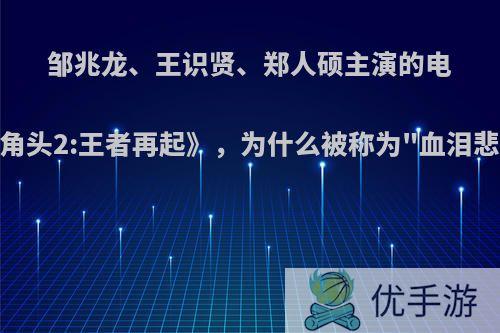 邹兆龙、王识贤、郑人硕主演的电影《角头2:王者再起》，为什么被称为