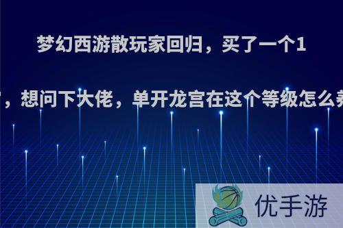 梦幻西游散玩家回归，买了一个155的龙宫，想问下大佬，单开龙宫在这个等级怎么养活自己?