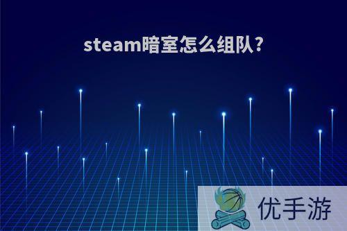 steam暗室怎么组队?