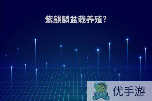 紫麒麟盆栽养殖?