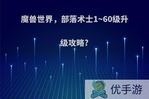 魔兽世界，部落术士1~60级升级攻略?