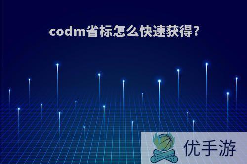 codm省标怎么快速获得?