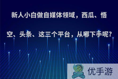 新人小白做自媒体领域，西瓜、悟空、头条、这三个平台，从哪下手呢?