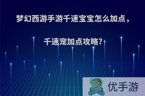 梦幻西游手游千速宝宝怎么加点，千速宠加点攻略?