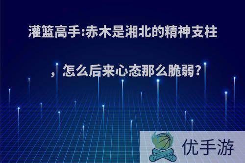 灌篮高手:赤木是湘北的精神支柱，怎么后来心态那么脆弱?