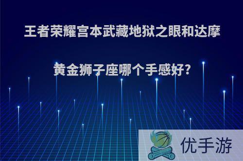 王者荣耀宫本武藏地狱之眼和达摩黄金狮子座哪个手感好?