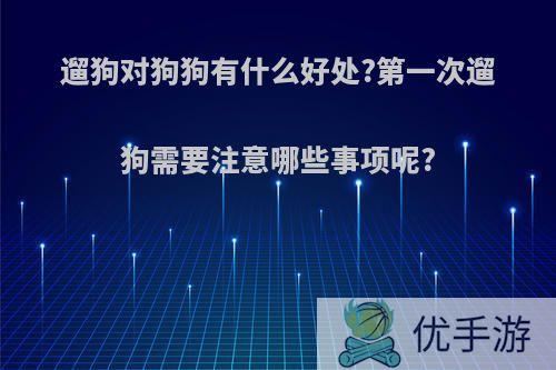 遛狗对狗狗有什么好处?第一次遛狗需要注意哪些事项呢?