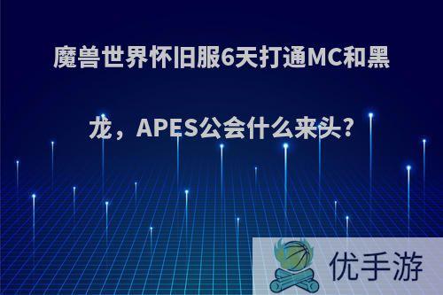 魔兽世界怀旧服6天打通MC和黑龙，APES公会什么来头?