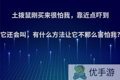 土拨鼠刚买来很怕我，靠近点吓到它还会叫，有什么方法让它不那么害怕我?