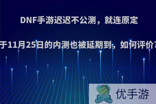 DNF手游迟迟不公测，就连原定于11月25日的内测也被延期到，如何评价?