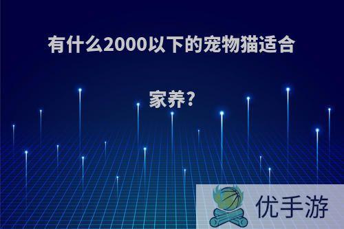 有什么2000以下的宠物猫适合家养?