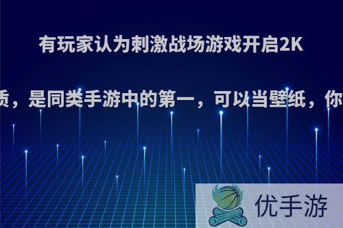 有玩家认为刺激战场游戏开启2K后的画质，是同类手游中的第一，可以当壁纸，你怎么看?