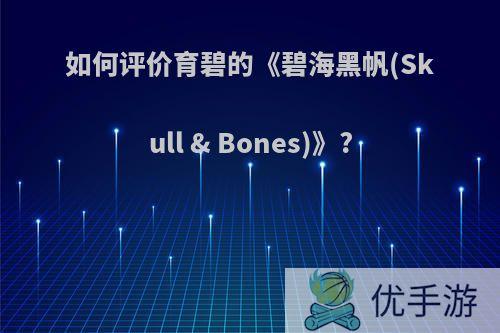 如何评价育碧的《碧海黑帆(Skull & Bones)》?