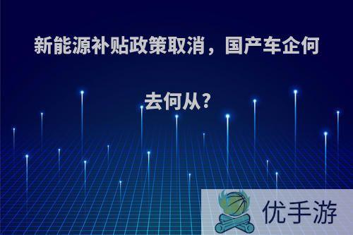 新能源补贴政策取消，国产车企何去何从?