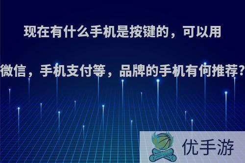 现在有什么手机是按键的，可以用微信，手机支付等，品牌的手机有何推荐?