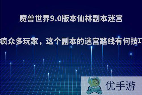 魔兽世界9.0版本仙林副本迷宫逼疯众多玩家，这个副本的迷宫路线有何技巧?