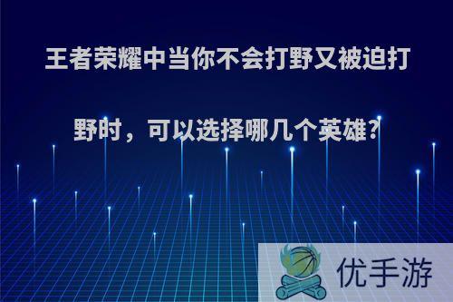 王者荣耀中当你不会打野又被迫打野时，可以选择哪几个英雄?