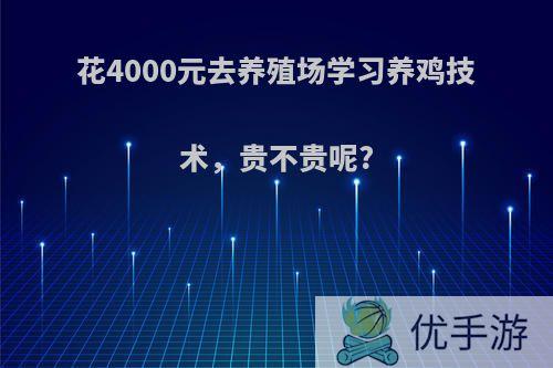 花4000元去养殖场学习养鸡技术，贵不贵呢?