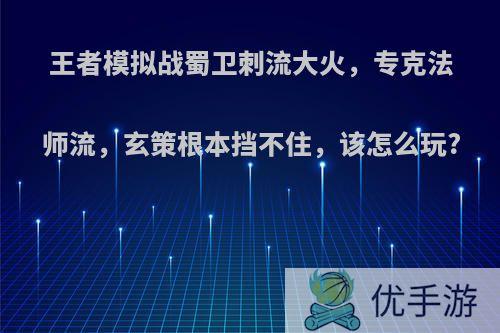 王者模拟战蜀卫刺流大火，专克法师流，玄策根本挡不住，该怎么玩?