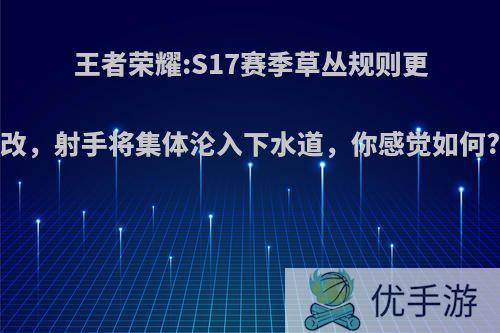 王者荣耀:S17赛季草丛规则更改，射手将集体沦入下水道，你感觉如何?