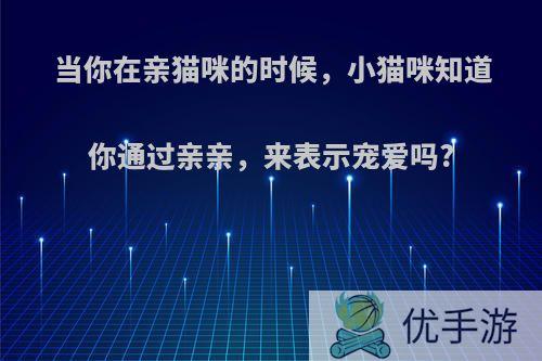 当你在亲猫咪的时候，小猫咪知道你通过亲亲，来表示宠爱吗?