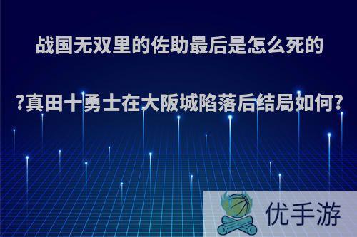 战国无双里的佐助最后是怎么死的?真田十勇士在大阪城陷落后结局如何?