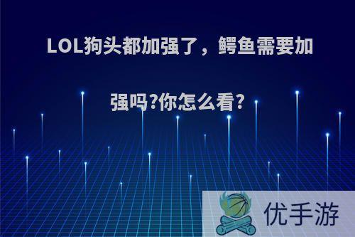 LOL狗头都加强了，鳄鱼需要加强吗?你怎么看?