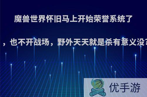 魔兽世界怀旧马上开始荣誉系统了，也不开战场，野外天天就是杀有意义没?