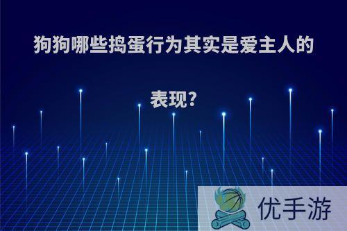 狗狗哪些捣蛋行为其实是爱主人的表现?