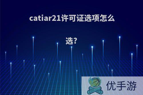 catiar21许可证选项怎么选?