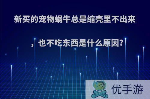 新买的宠物蜗牛总是缩壳里不出来，也不吃东西是什么原因?