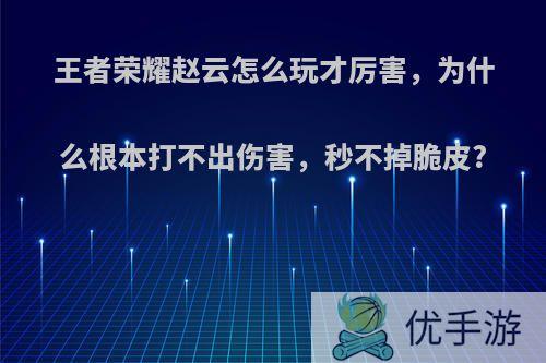 王者荣耀赵云怎么玩才厉害，为什么根本打不出伤害，秒不掉脆皮?