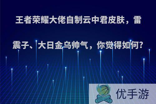 王者荣耀大佬自制云中君皮肤，雷震子、大日金乌帅气，你觉得如何?