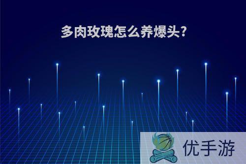 多肉玫瑰怎么养爆头?