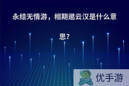 永结无情游，相期邈云汉是什么意思?