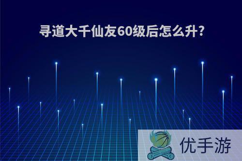 寻道大千仙友60级后怎么升?