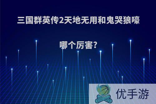 三国群英传2天地无用和鬼哭狼嚎哪个厉害?