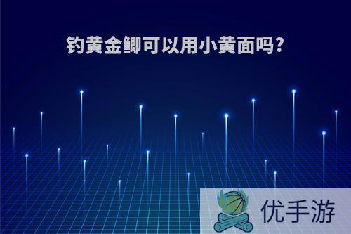 钓黄金鲫可以用小黄面吗?