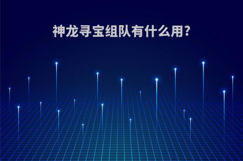 神龙寻宝组队有什么用?