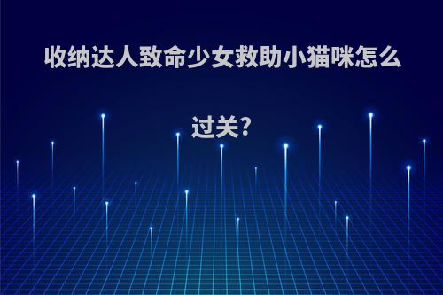 收纳达人致命少女救助小猫咪怎么过关?