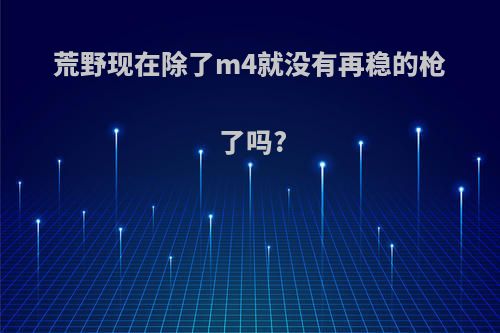 荒野现在除了m4就没有再稳的枪了吗?